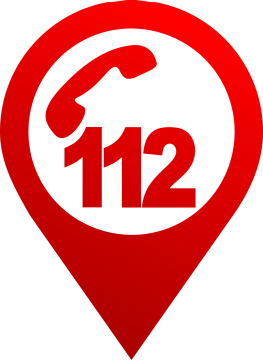 D11504