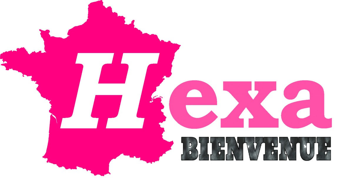 Logo hexa bienvenue
